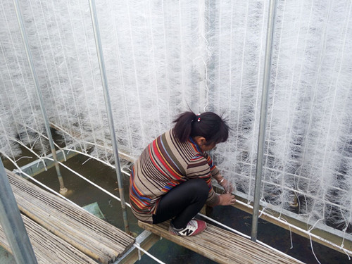 늳؏Sܛ�����ϰ��bʩ���F(xi��n)��